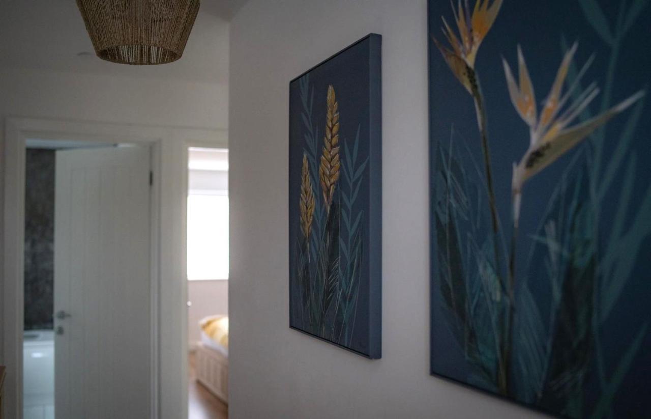 The Red House Modern Stylish Home From Home Walking Distance To Cardiff Bay And City Centre With Parking Zewnętrze zdjęcie