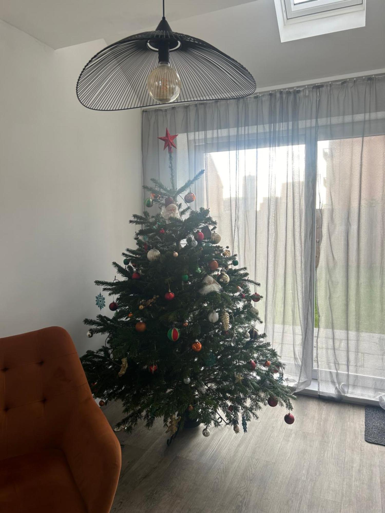 The Red House Modern Stylish Home From Home Walking Distance To Cardiff Bay And City Centre With Parking Zewnętrze zdjęcie